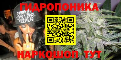 наркотики Шебекино