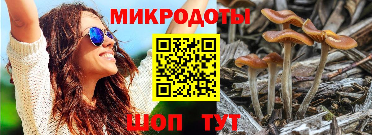 Мирный  Псилоцибиновые грибы MAGIC MUSHROOMS  Псилоцибиновые грибы MAGIC MUSHROOMS  Вход с VPN 
